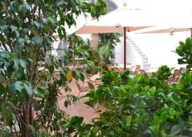Hotel BH Internacional 2