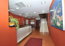 Hostal Goyma III 4
