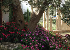Villa Vacanze Paradiso - Oasi di Tranquillità con Piscina e Giardino a 10 min dal mare 3