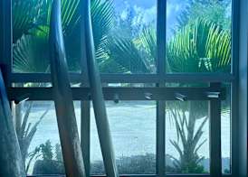 Noah Private Beach House 2