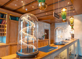 4-Sterne Superior Erlebnishotel Krønasår, Europa-Park Erlebnis-Resort 4