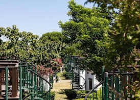 Residence Mare Pineta 3