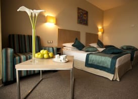 Azalia Beach Hotel Balneo & SPA 3