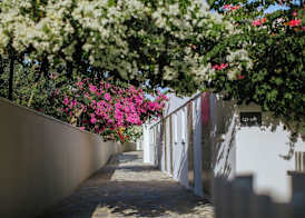 Nissi Beach Resort 4