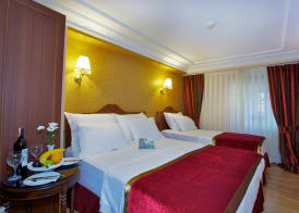Amber Hotel & Spa 5