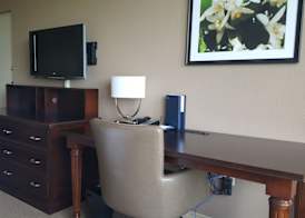 Sheraton Orlando North 5