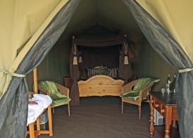 Port Lympne Reserve - Livingstone Lodge 2