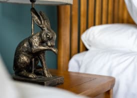 The Star Inn 2