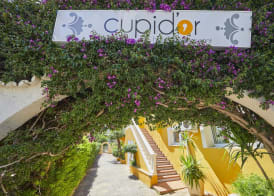 Hotel Cupidor 2