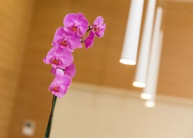 Hotel Crikvenica 2