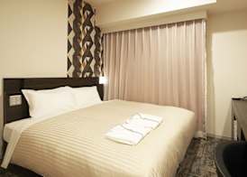 Sotetsu Fresa Inn Kitahama 5