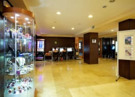 Ona Luna Park - Adults Friendly 16 Years Plus 2