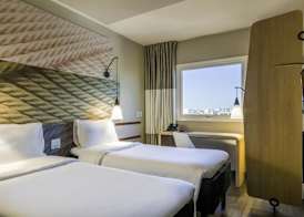 Ibis Americana 3