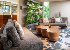 The Westin Grand Cayman Seven Mile Beach Resort & Spa 2