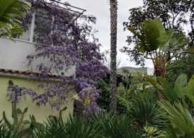 B&B La Salamandra Kitchengarden 2