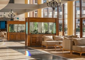 HVD Clubhotel Miramar - 24 Hours Ultra All Inclusive & Free Parking 4