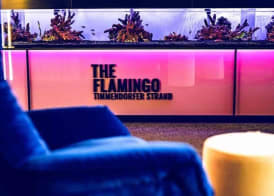 The Flamingo 3