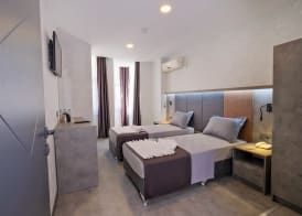 The Queen Hotel 5
