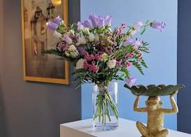 Jolly Charme Suite 2