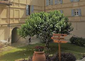 Antico Borgo 3
