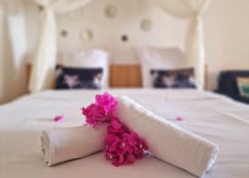Hotel Le Manguier 5