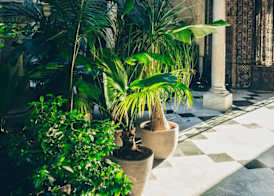 CoolRooms Palacio Villapanés 5 GL 2