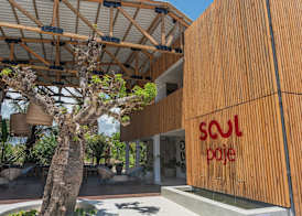 Soul Paje Managed by TOC 3