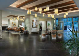 Tempe Mission Palms 3