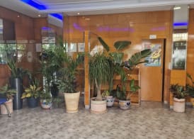 Europa Family Apartments 4