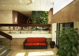 Hotel Krystal 4