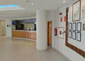 Grupotel Flamingo Beach 2