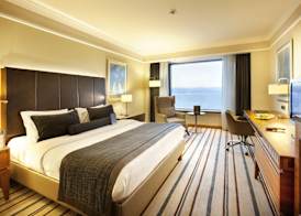 Dedeman Zonguldak 5