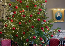 Hotel Bamberger Hof Bellevue 4