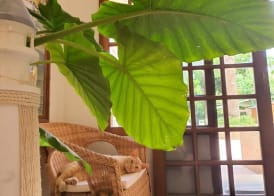 HOTEL RIOMAR 2