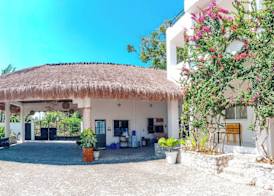 Divers Lodge Plumeria 3