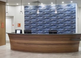 TownePlace Suites by Marriott Orlando at SeaWorld 2