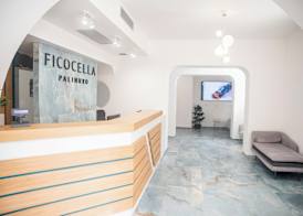 Hotel Ficocella 4