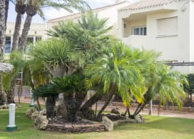 Aparthotel Villas La Manga 4