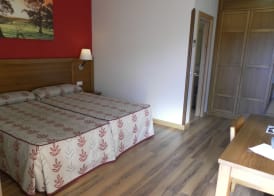 Hotel Milagros Rio Riaza 5