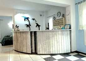 Dolphin Hotel 4