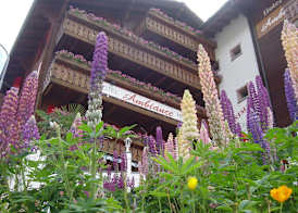 Hotel AMBiANCE 2