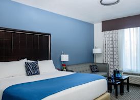 Holiday Inn Express & Suites AUSTIN NW - ARBORETUM AREA by IHG 4