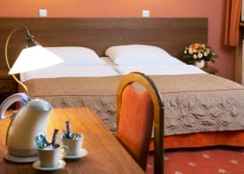 Hotel Regent 5