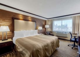 Best Western Plus Edmonton Airport 5