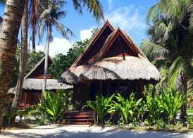 Cauayan Boutique Private Island - formerly Cauayan Island Resort 4