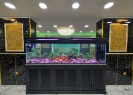 Jordan Seasons Hotel 2