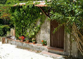 Villa Bonaccorso - antica e maestosa villa con piscina ai piedi dell'Etna 2
