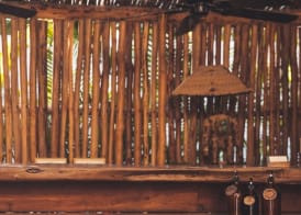 Encantada Tulum 2