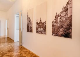 Apartments 39 Wenceslas Square 2