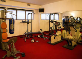 MH Hotel Piacenza Fiera 4